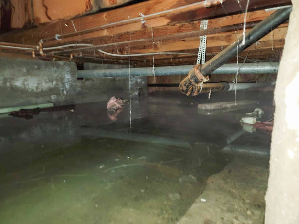 Best Water damage restoration experts  in Ford City, CA