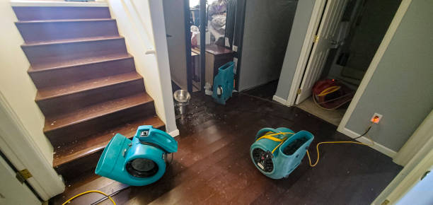 Best Local water damage restoration  in Ford City, CA