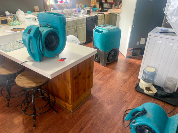 Best Local water damage restoration  in Ford City, CA