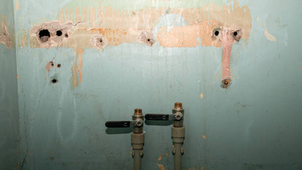 Best Flood restoration services  in Ford City, CA