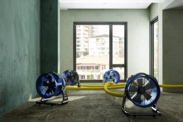 Reliable Ford City, CA Water damage restoration Solutions